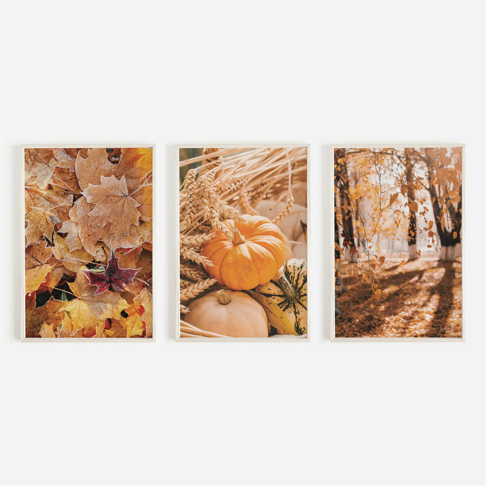 ภาพพิมพ์ตกแต่งแบบไร้กรอบ 3 ชิ้ - Abstract Canvas Set บทวิจารณ์และราคา